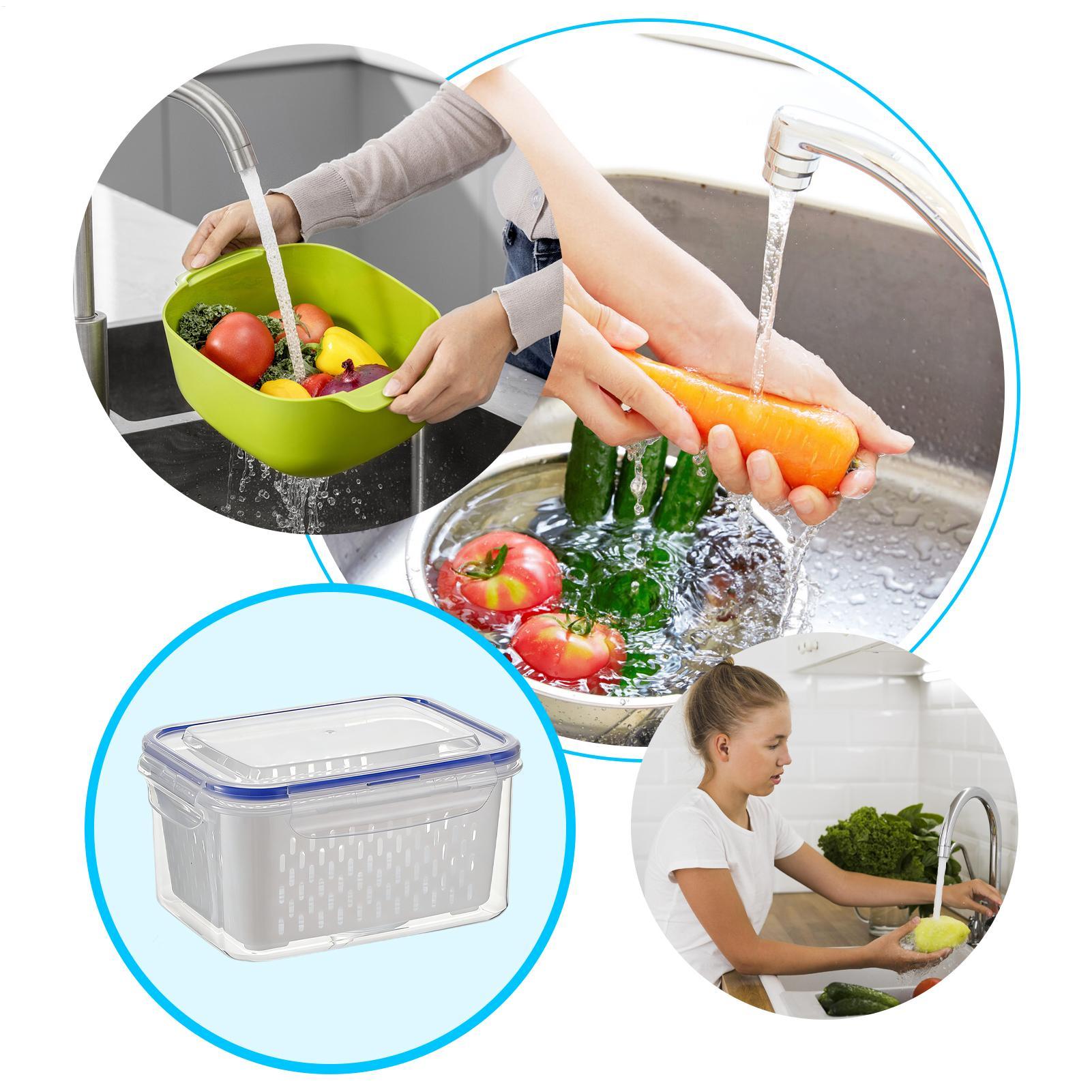 กล่องเก็บอาหาร 4 in 1 กล่องใสก - Food Storage Containers บทวิจารณ์และราคา