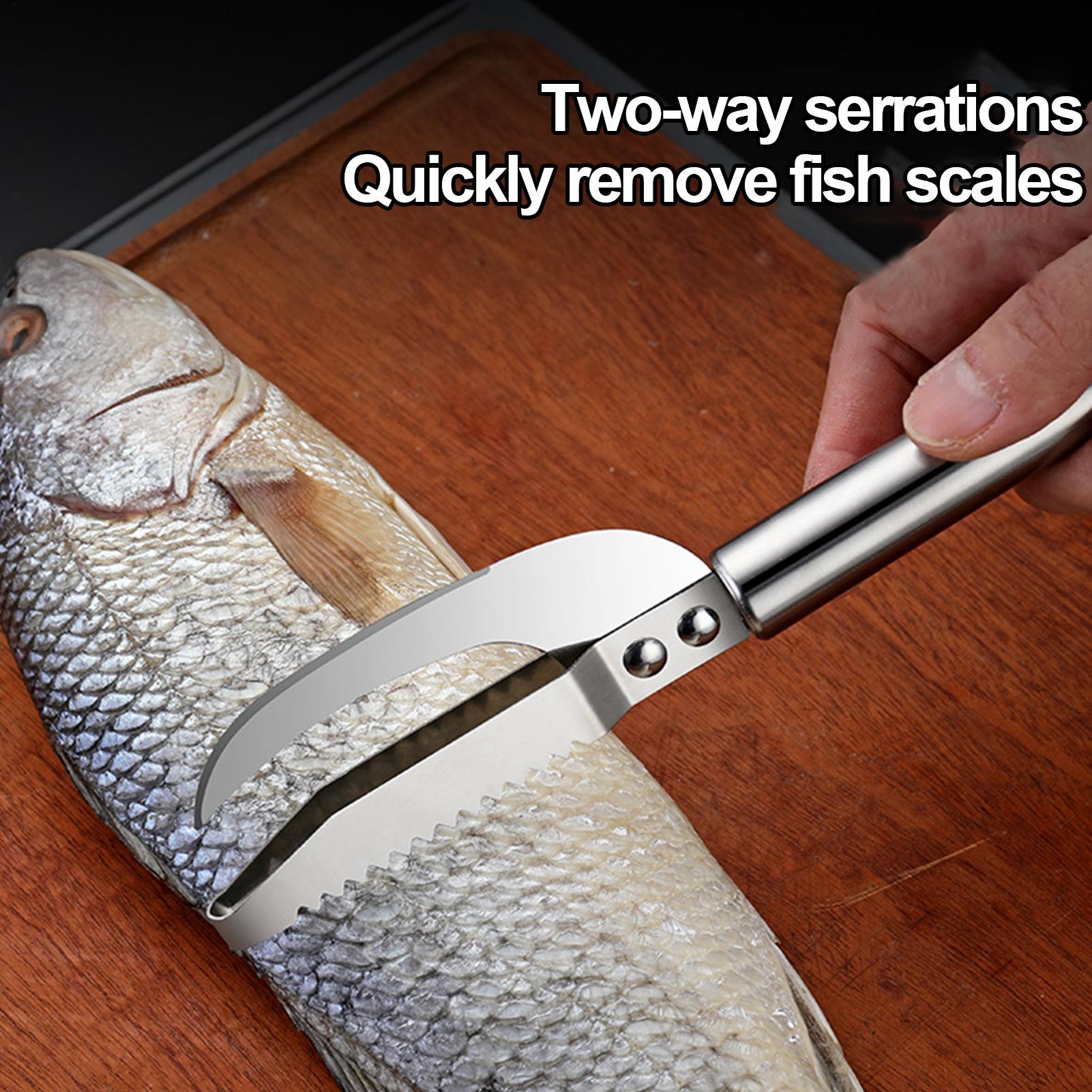 มีดขูดเกล็ดปลา ที่ขูดเส้นกุ้ง  - Kitchen Gadgets For Seniors บทวิจารณ์และราคา