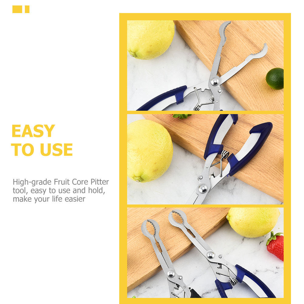 เครื่องมือเอาแกนผลไม้ฮอว์ธอร์น - Kitchen Gadgets & Toys บทวิจารณ์และราคา
